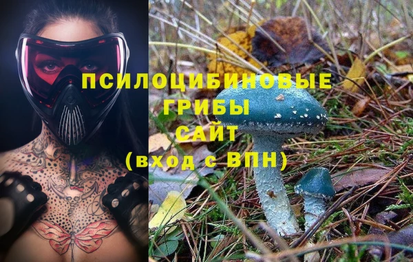 ECSTASY Алзамай