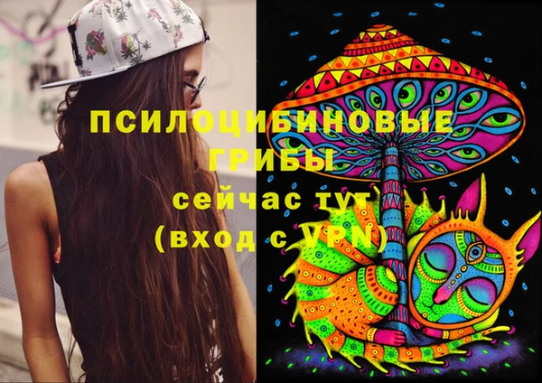 ECSTASY Алзамай