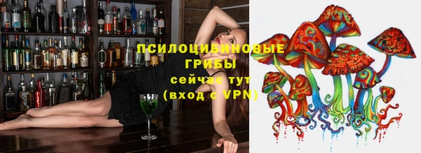 круглые Алексеевка