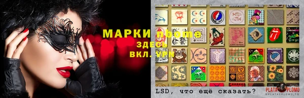 винт Абаза